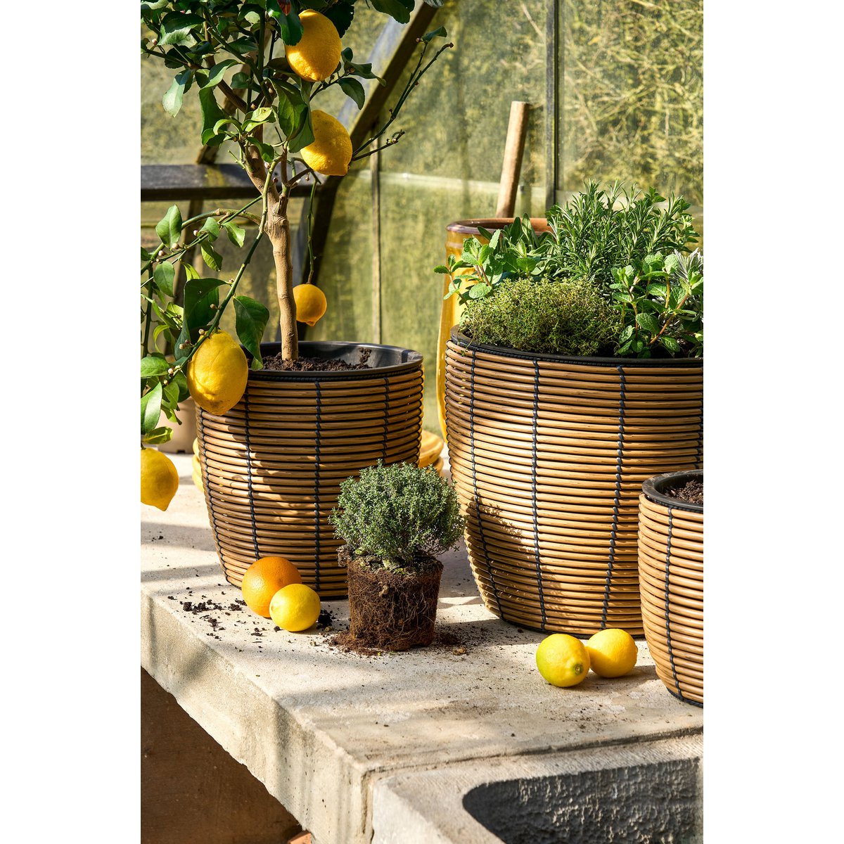 Durban Bloempot Buiten - Set van 3 - H36 x Ø40 cm - Gerecycled Plastic - Bruin